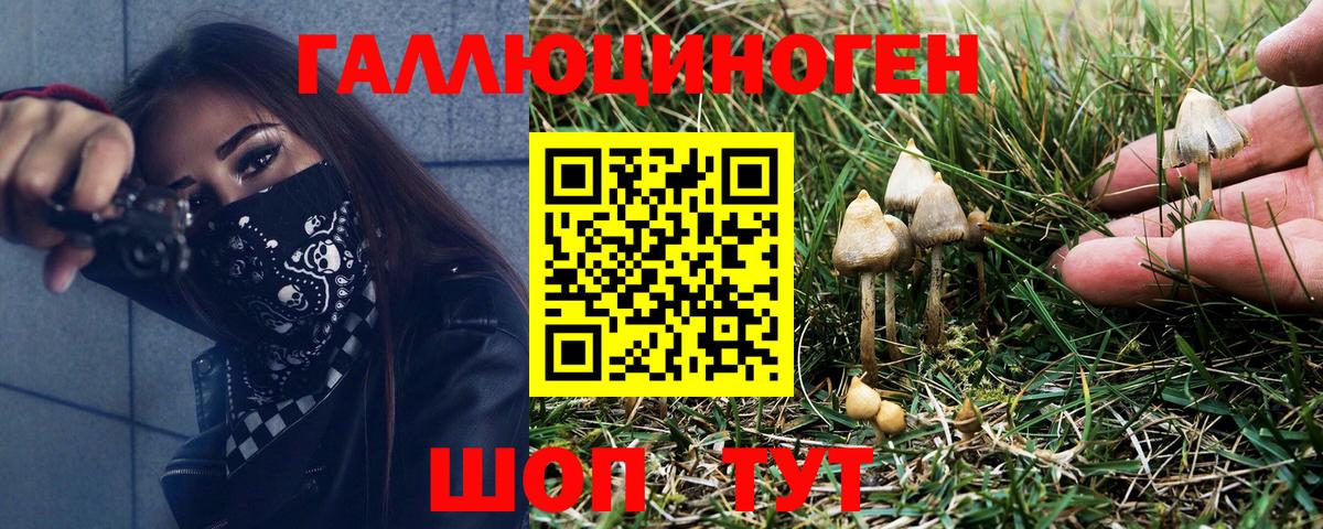 Псилоцибиновые грибы ЛСД  Вход с VPN  наркошоп  Лесосибирск 